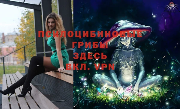 МДПВ Армянск
