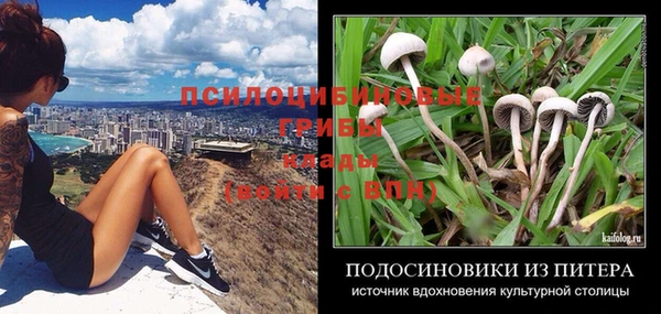 МДПВ Армянск