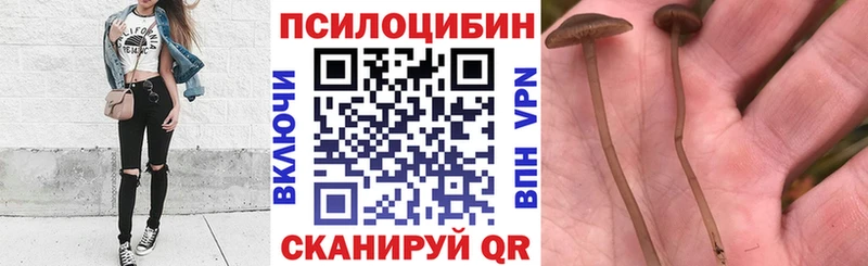 Галлюциногенные грибы ЛСД  Приморск 